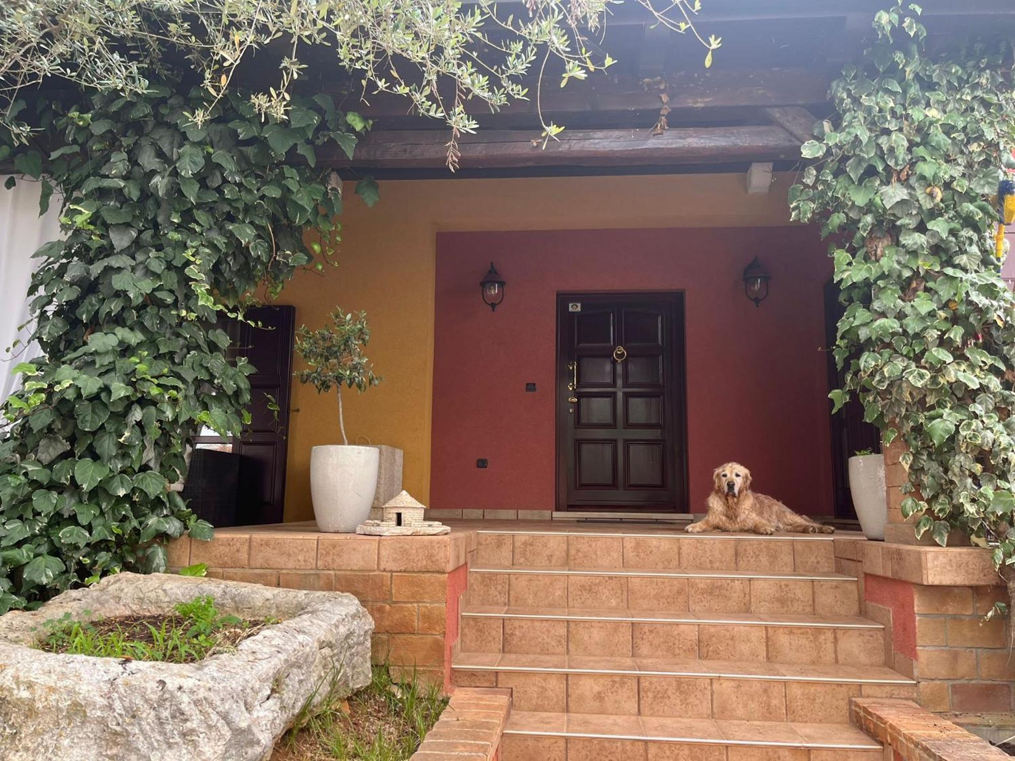 New!!! La Magrina - Bed&Breakfast Vrsar Luaran gambar